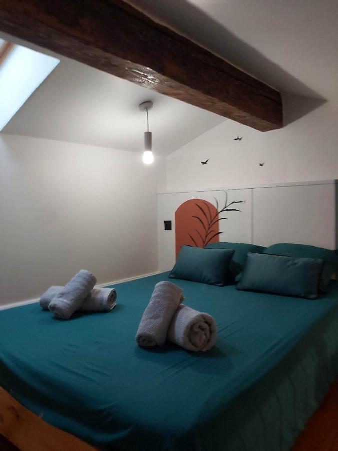 Le Studio D'Emma Apartment Romans-sur-Isere Luaran gambar