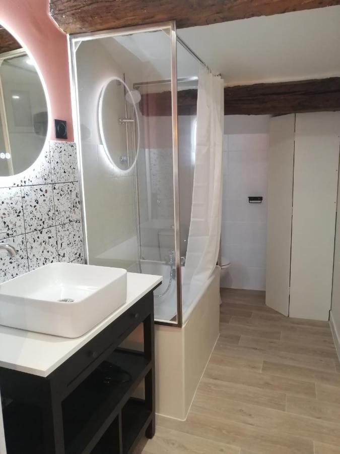 Le Studio D'Emma Apartment Romans-sur-Isere Luaran gambar